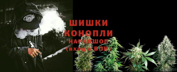 каннабис Баксан
